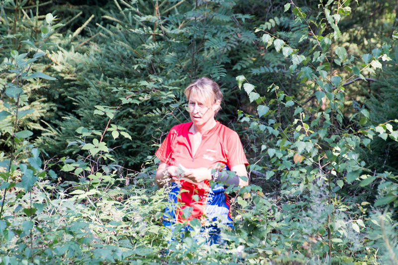 Allein im Wald - Bild: Christian Vetter