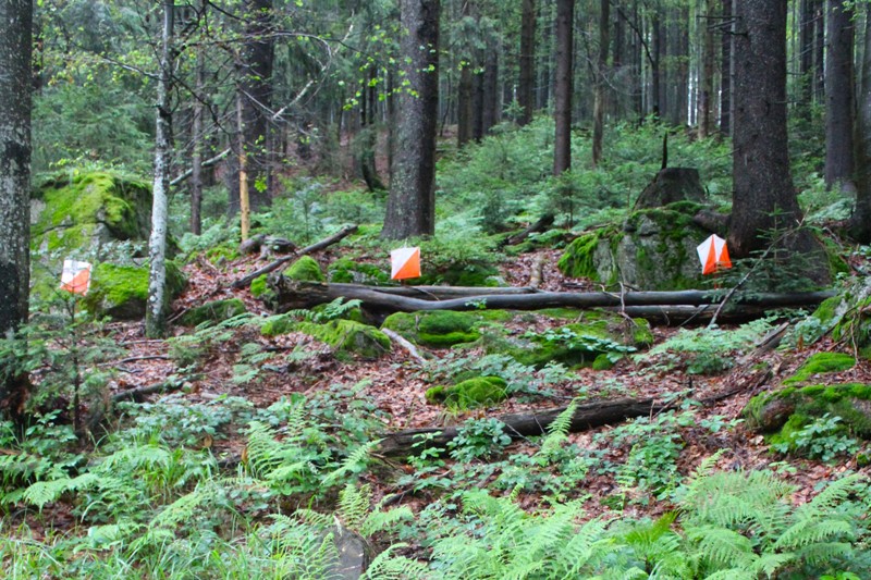 Postenimpression vom Bavarian Forest TrailO