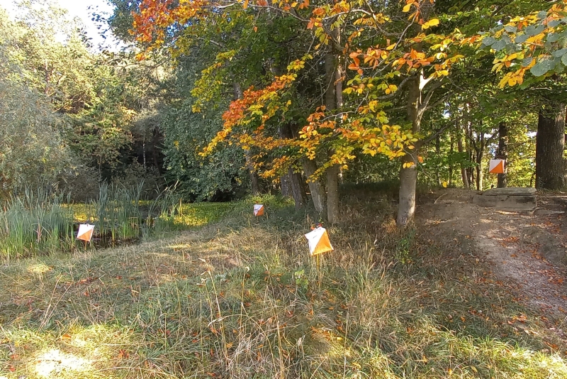 Abwechslungsreiche Orientierungsaufgaben in herbstlichem Gelände warten auf die Teilnehmer.